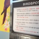 도매시장로 4 이미지