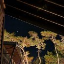 보령애견동반펜션 피노비스타 이미지