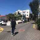 쇠소깍오메기식당2 이미지