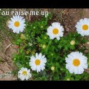 You raise me up _ 크리스텔 version 이미지