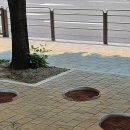 보건소사거리↔유한아파트 | 우이천 벚꽂길 산책로가 맨발걷기 황톳길로 새롭게 단장, 소요시간. 이용 후기