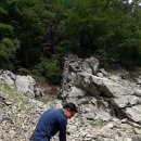 이두수 농장 네이버블로그
