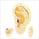 방배로27길 69 이미지