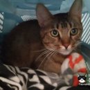 시드니호텔 2 이미지