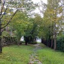 인동35길-10 이미지