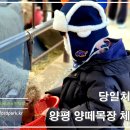 양평목장 티스토리