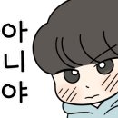 아지트댕댕 이미지