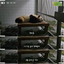 어느 콘텐츠 마케터의 주말 _02