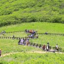 곰배령마루 이미지