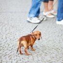 구름동물병원 이미지