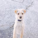 항도주유소 이미지