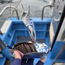 마린보이호 이미지