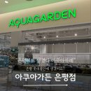 은평롯데몰 아쿠아가든카페 아이랑가볼만한곳 대형카페