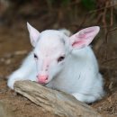 김성태 농장 이미지