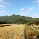 원운마을회관 이미지