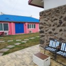 핑크로즈553 이미지