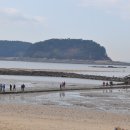 무창포솔원캠핑장 이미지