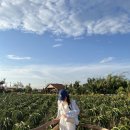 용고개농장 이미지