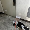 사월컴퍼니 | 대구 동구 점심은 으뜸 도시락 | 시지, 사월 도시락 월 배달 찐 후기