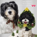 O.D(오복디저트) 이미지