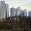 일등자이공인중개사사무소 | 비하동 부동산 서청주일등자이부동산 에서 추천하는 매물, 서청주파크자이 110타입(41평) 매매 2탄