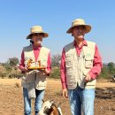 더블유와이치과의원 이미지