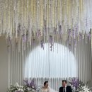 하도대5길 04 | W.04 웨딩홀 (트리웨딩)