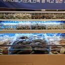 (주)이마트 파주운정점 이미지