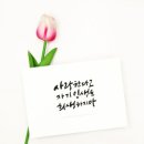 사랑문구 이미지