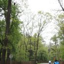 광릉수목원로 이미지