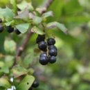 화련회관 이미지