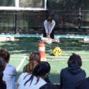 영등포소방서 내 이미지