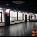 영진태권도체육관 이미지