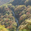 영남알프스 서포터즈 산행... 이미지