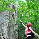 석성산 등산로 | 경기 용인특례시 석성산 특별한 view에 반하다.