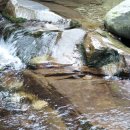 대가주천 이미지