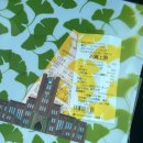 신조선집 | 신조선통신사 8일차-대사관 발표회와 세 번의 생일케이크