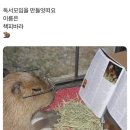 닭발하우스 이미지