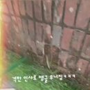 안다랜드 이미지