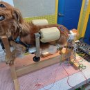 더독동물병원 이미지