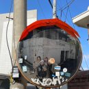 퍼피케크 | 보니 투어-석촌, 압구정, 한남동 맛집 이모저모(프로 돼지)🐷/재인(JANE),오구움,어글리퍼피,백곰막걸리