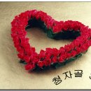 옴천면사무소 이미지