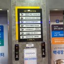 스마일 | 순천 더 밝은 안과 라식 : 스마일 라식 수술장면 혐오주의 가격 후기 내 돈 내산