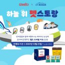 주식회사 하늘여행 네이버블로그