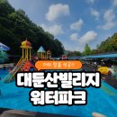 대둔산빌리지 | 한여름 더위 탈출 성공! 대둔산빌리지 워터파크에서 신나는 물놀이 대둔산 워터파크 리뷰