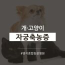 윤혜리한의원 이미지