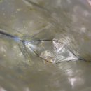 지후유통