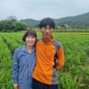 정순농장 이미지