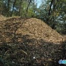 의령 죽전리 고분군 이미지