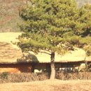 백운농산 이미지